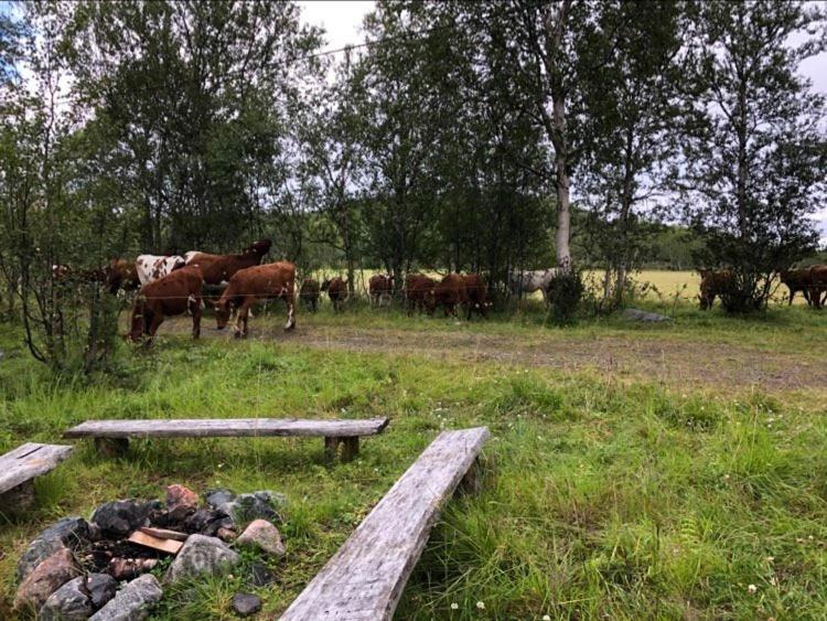 Kulpmo Gard Jarfjord-Kirkenes Villa Bagian luar foto