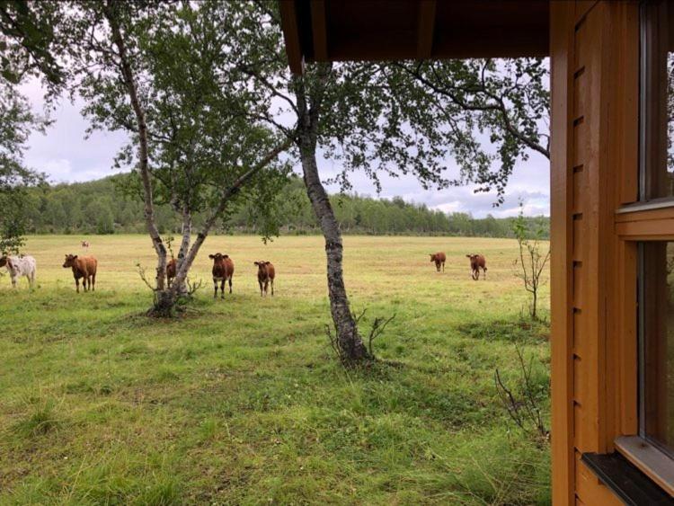 Kulpmo Gard Jarfjord-Kirkenes Villa Bagian luar foto