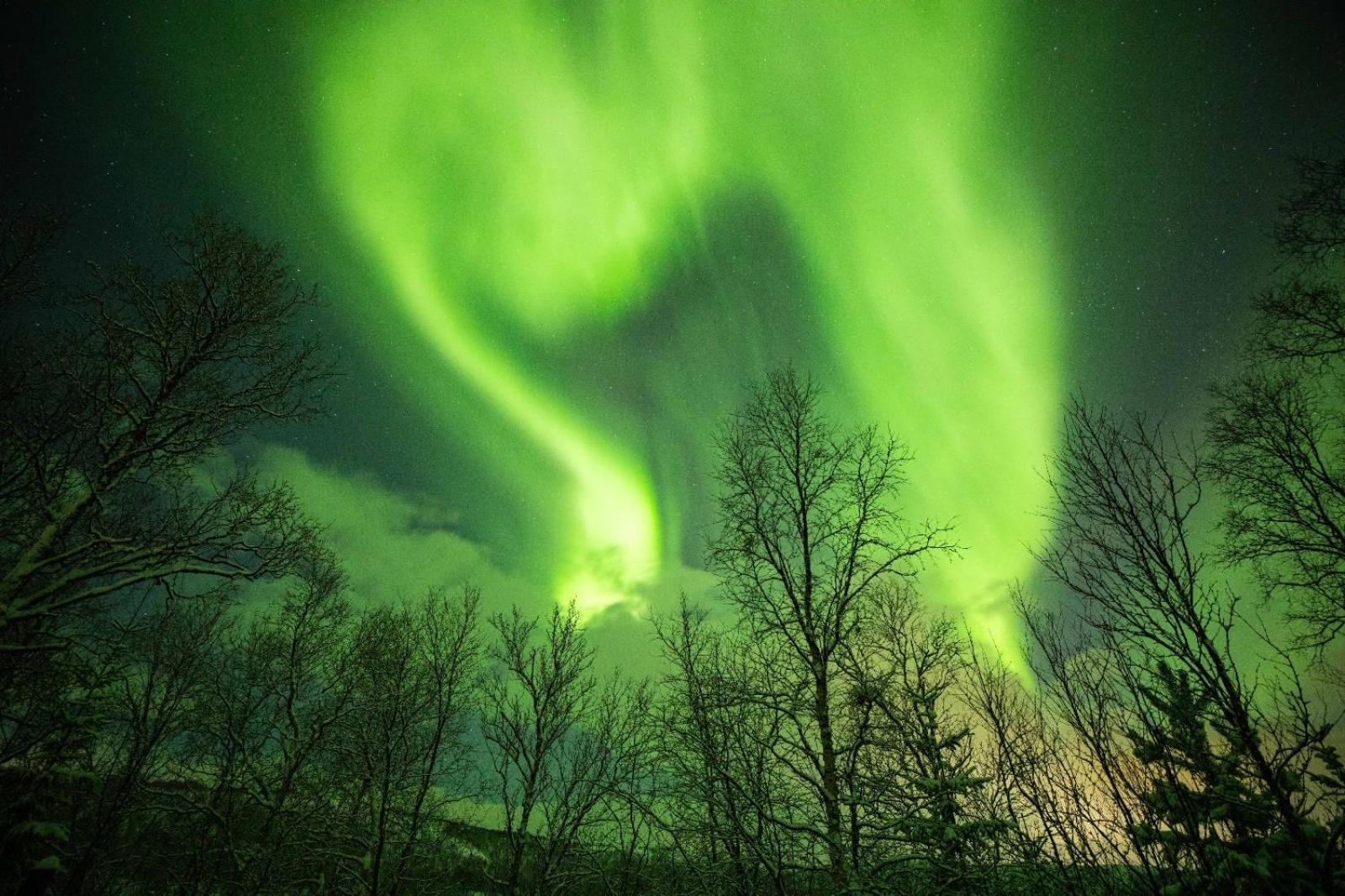 Kulpmo Gard Jarfjord-Kirkenes Villa Bagian luar foto
